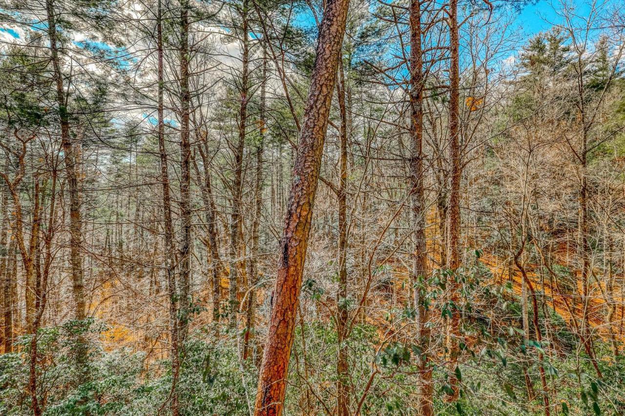 Etowah Villa Blue Ridge Eksteriør billede